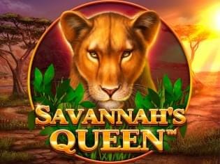 Savannah's Queen thumbnail